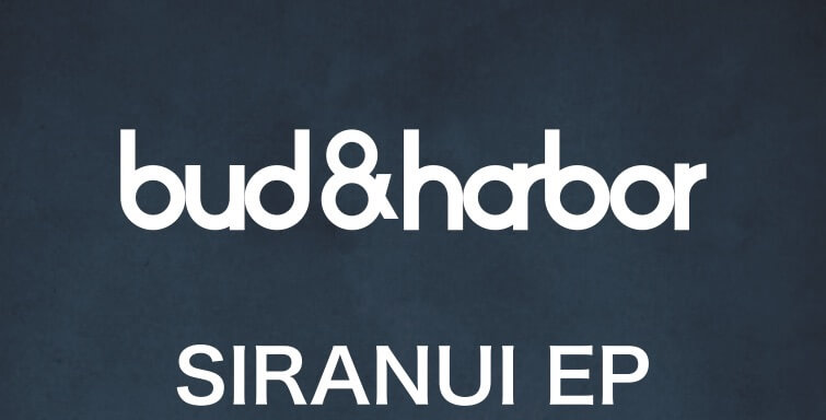 【Who’s NXT】bud&harbor(バドアンドハーバー) |「ほそくながく、頑張りすぎず、ほどよく尖る」のサムネイル画像