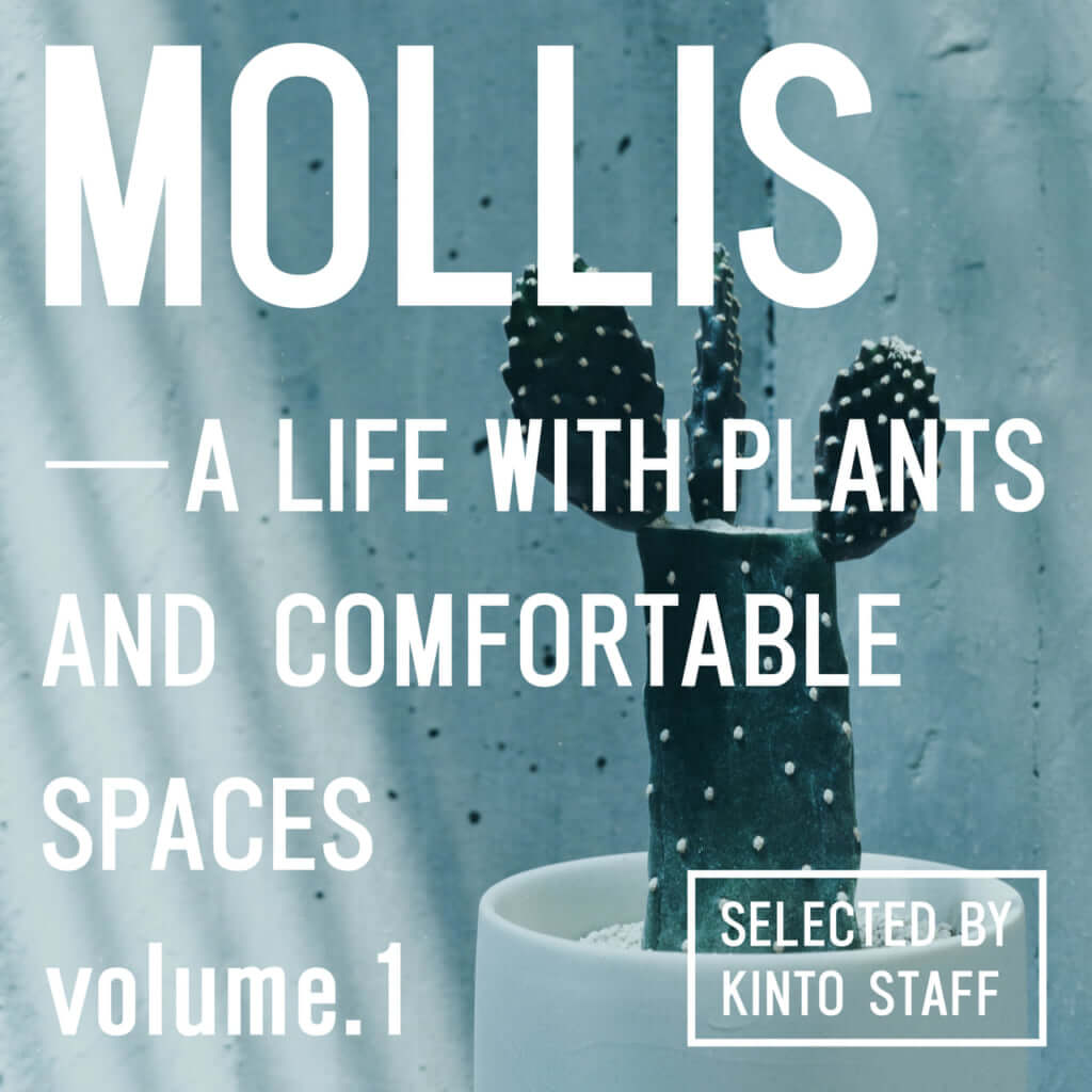 植物ブランド「MOLLIS」、オリジナル楽曲配信＆新規プレイリスト展開