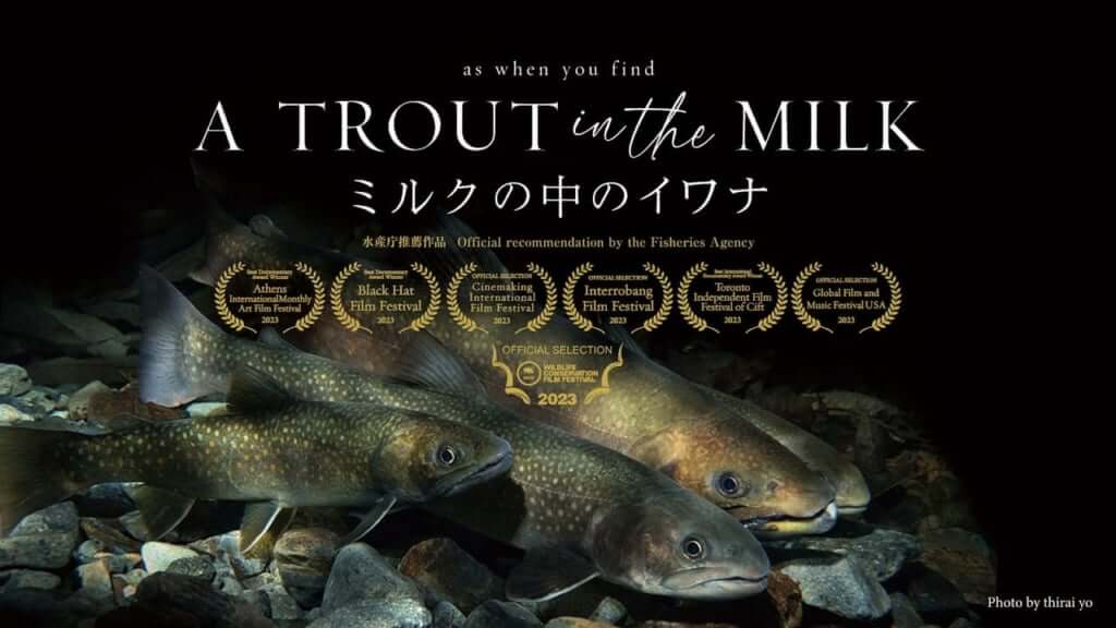 Daisuke Tanabe & Yosi Horikawa、ドキュメンタリー映画『A TROUT IN THE MILK / ミルクの中のイワナ』に劇伴参加　今夏公開予定、海外映画祭で多数受賞・入賞 & 水産庁推薦の話題作