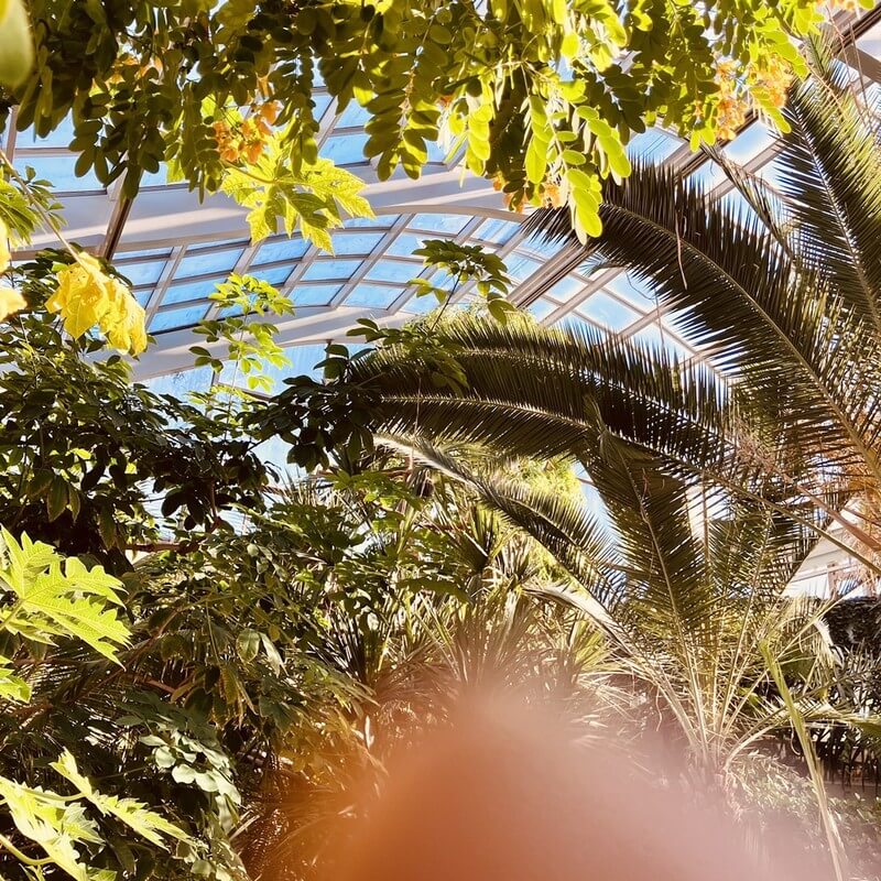 Have a Nice Day!「ISLAND」