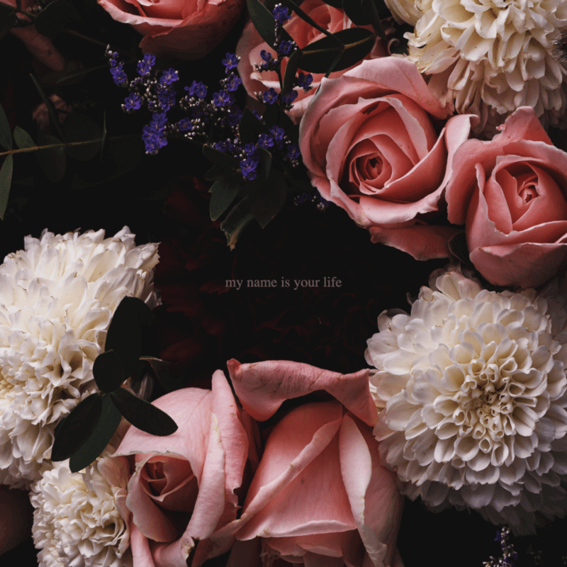 NoisyCell「my name is your life」