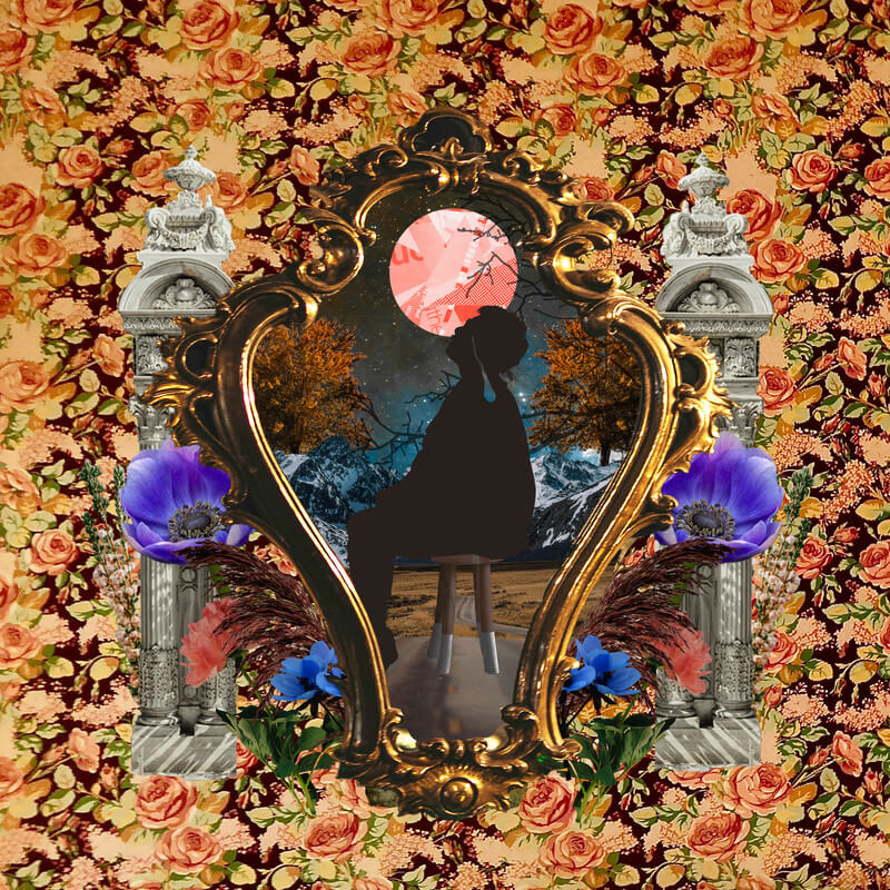 APOLLO「アネモネ」