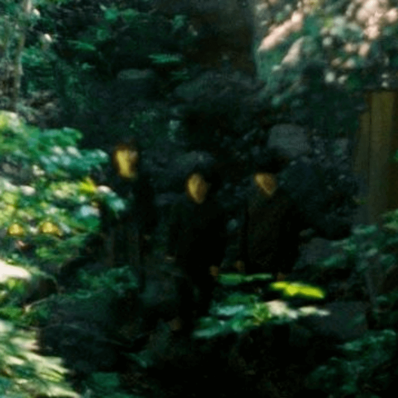 東京発印象派バンド・mozu、1年ぶり2nd EP『Tales of Faults』配信開始のサムネイル画像