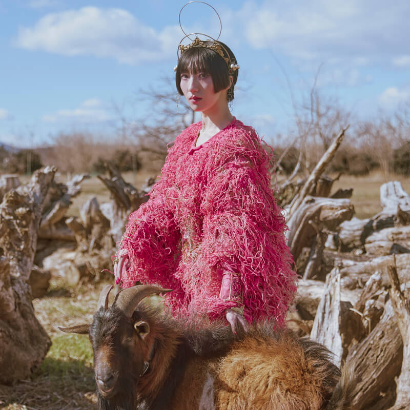 春ねむり、新設自主レーベルから第一弾シングル「anointment」リリース&MV公開のサムネイル画像