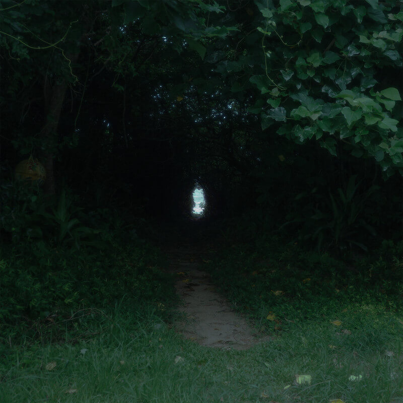 浮「海へ (とおあさver.)」