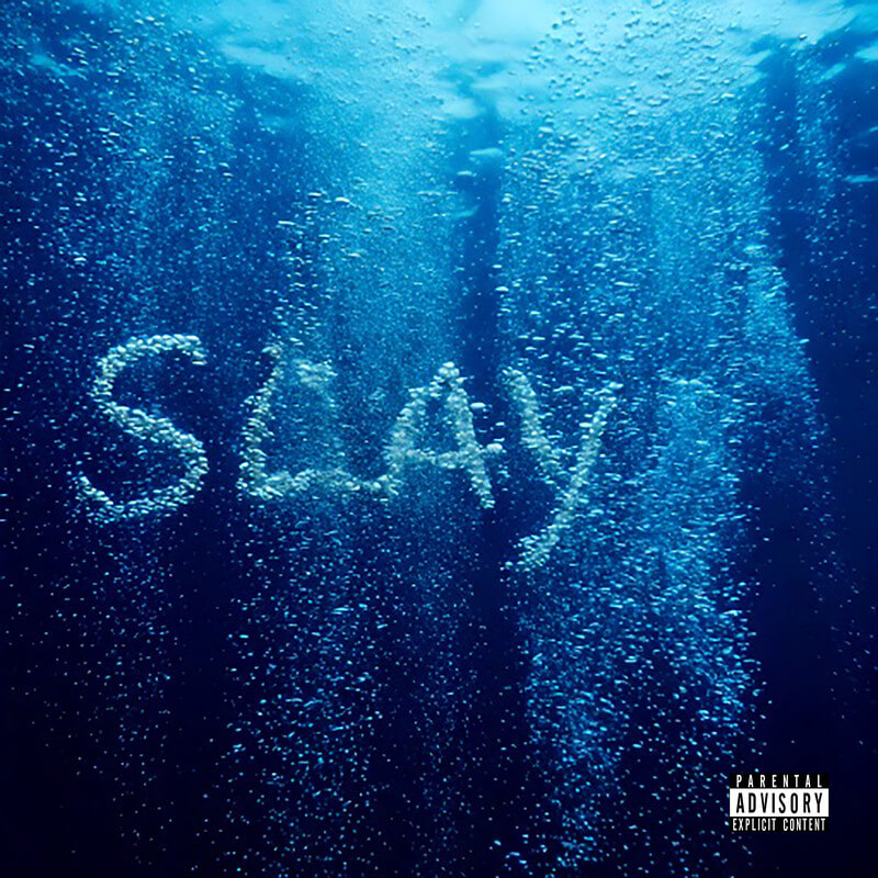 PETZ『SLAY』