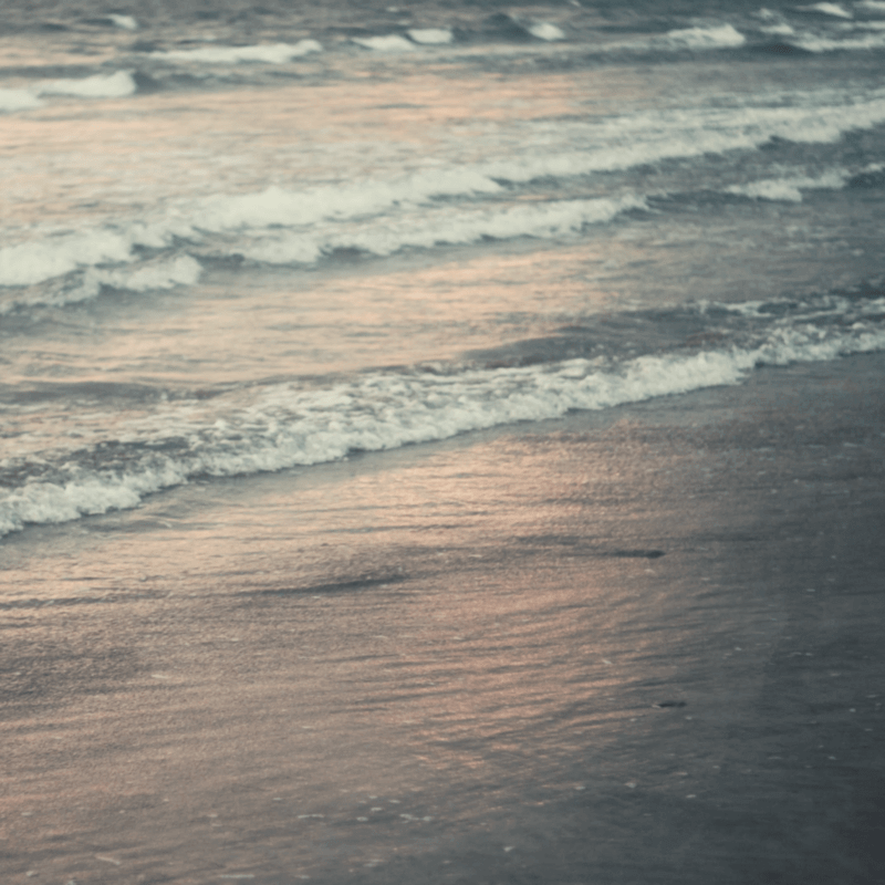 WAZGOGG ＆ Koshun Nakao、ボーカルに寺尾紗穂を迎えたリリカルなコラボ曲「Monologue on beach」配信開始