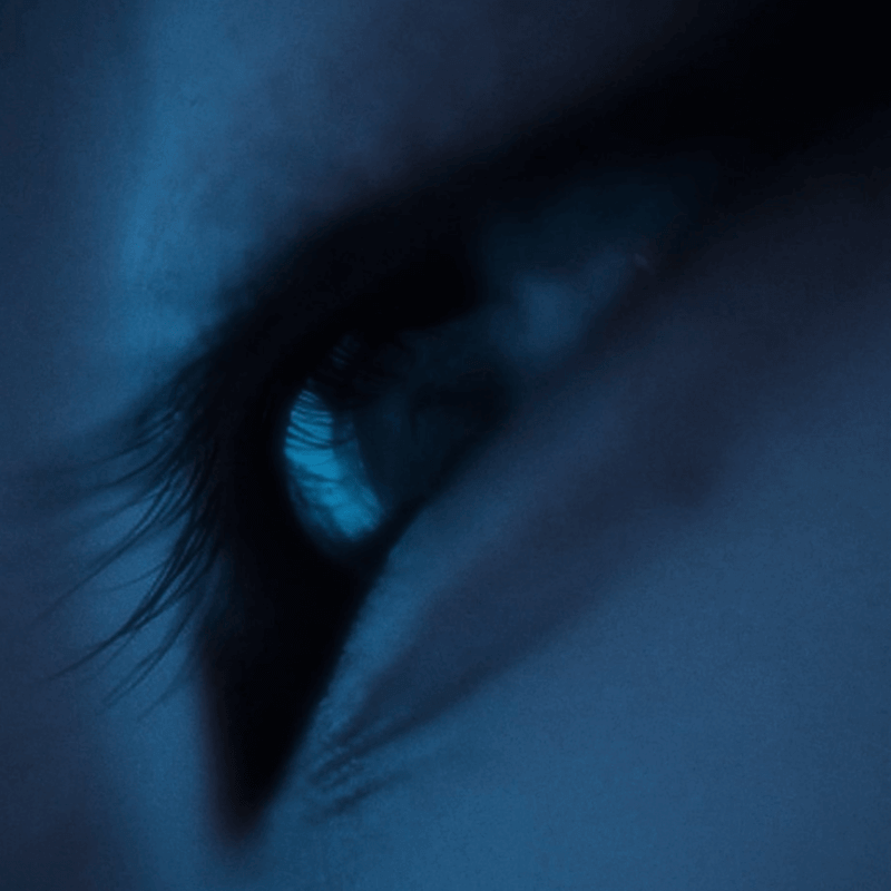 長嶋水徳 – serval DOG -「ブルーナイトサマー」