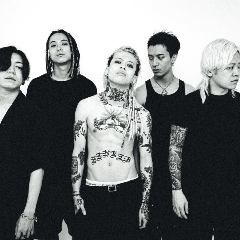 HIKAGE、待望の1stフルアルバム『True Colors』配信開始　リリースツアー追加公演でワンマン開催も決定のサムネイル画像