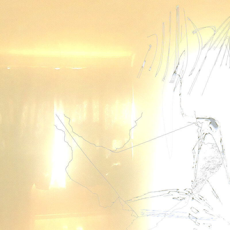 cephalo『gloaming point』