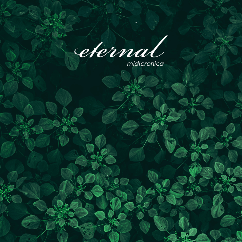MIDICRONICA、新曲「Eternal」配信開始　深夜の都市を漂い、核心的な美学を提示
