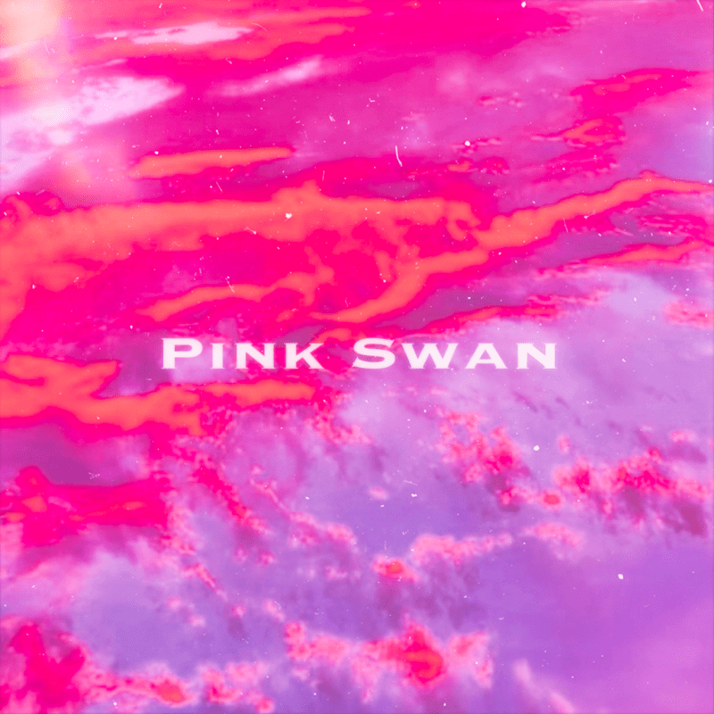 重盛さと美、新曲「Pink Swan」をサプライズリリース