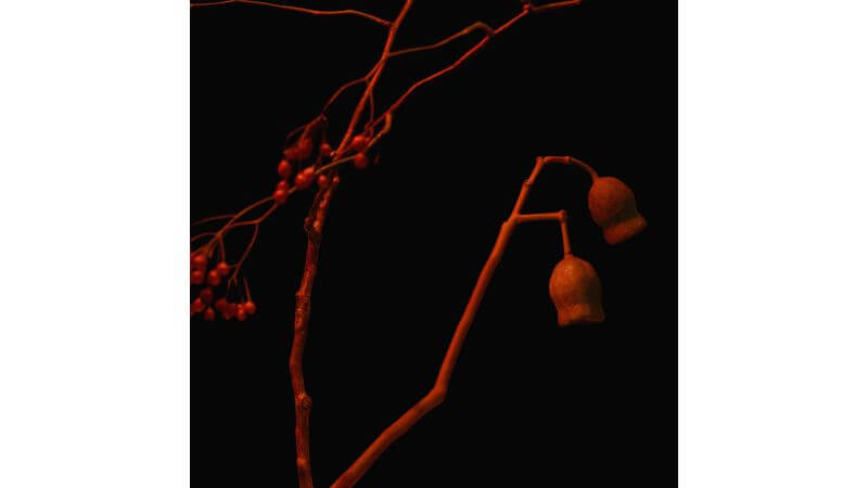 Xansei × Leon Fanourakis、Yohji Igarashi参加の新曲「報復」