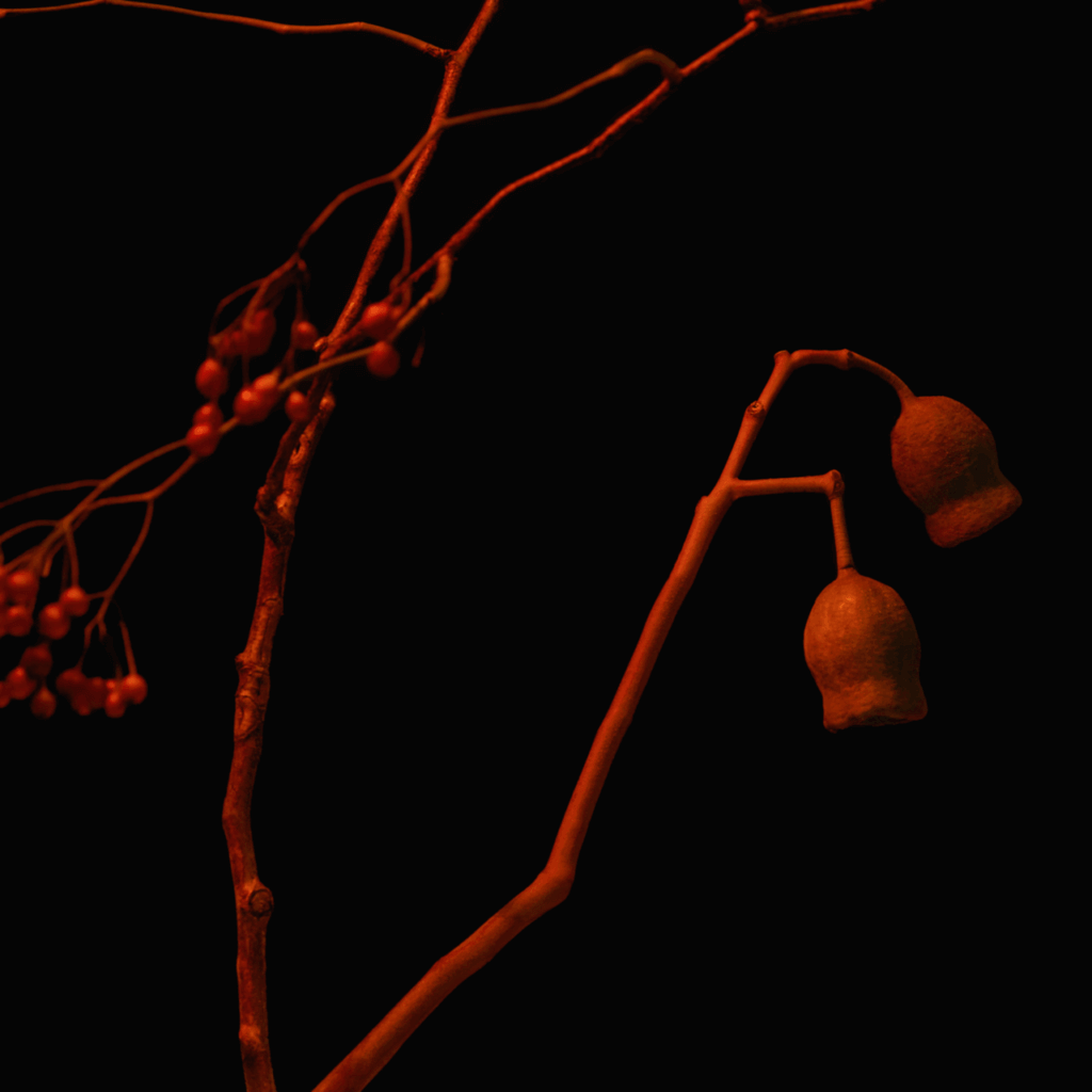 Xansei × Leon Fanourakis、Yohji Igarashi参加の新曲「報復」のサムネイル画像