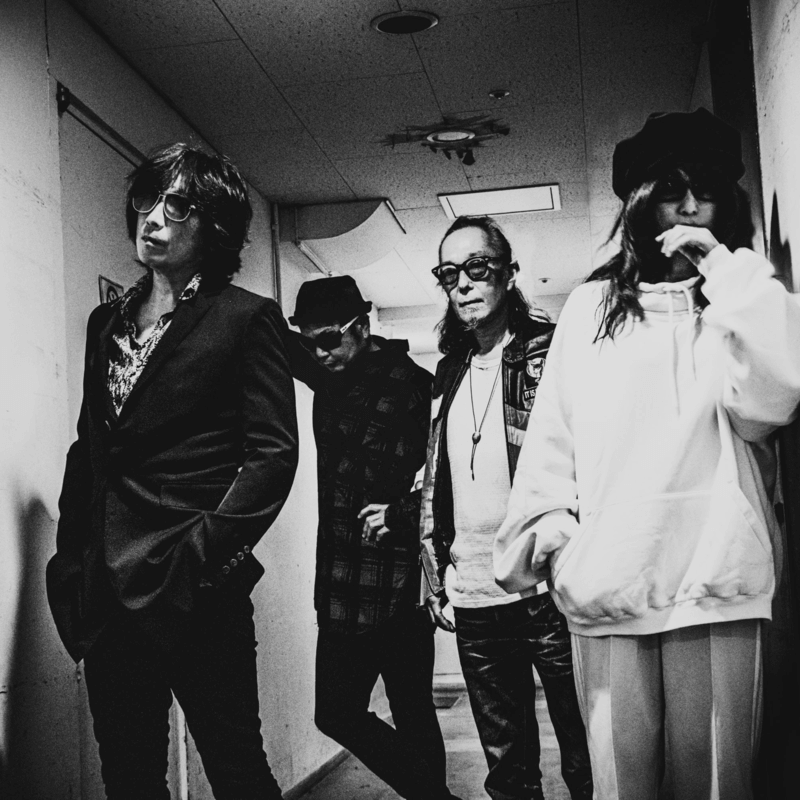 SHERBETS、昨年のツアーライブ音源をサプライズ配信リリースのサムネイル画像