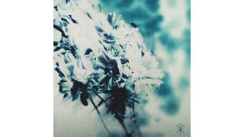 Prompts、新境地のニューシングル「Death Of Me」配信開始　アメリカ&オーストラリアのレーベルから共同リリース