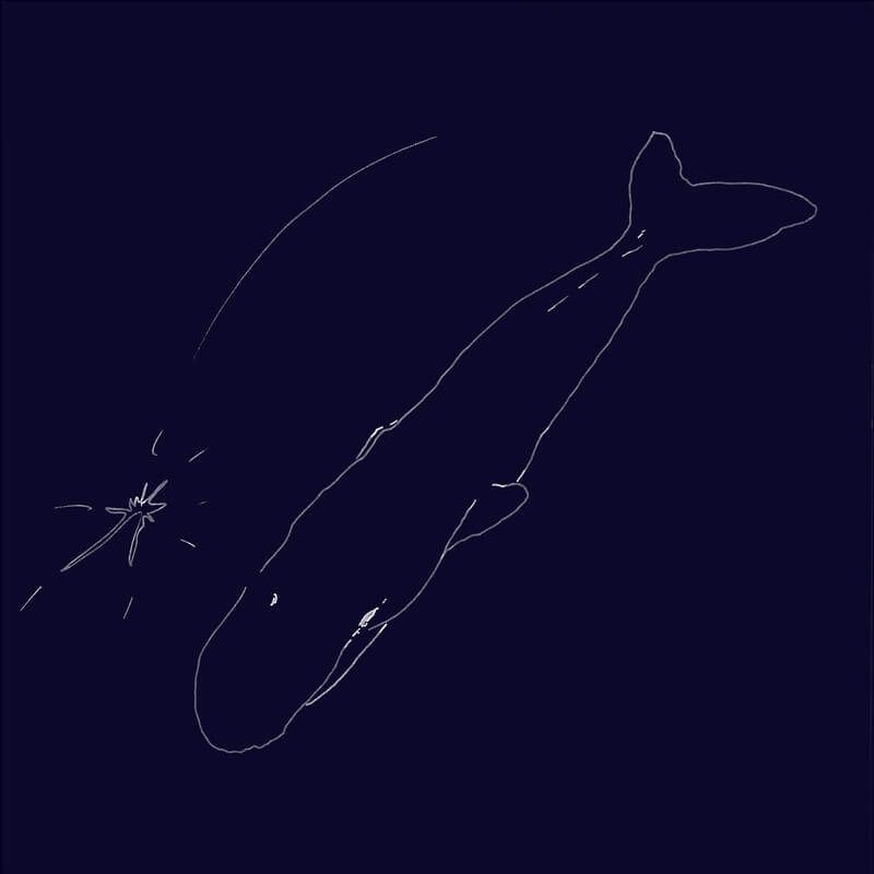 青葉市子「しらぬひ」