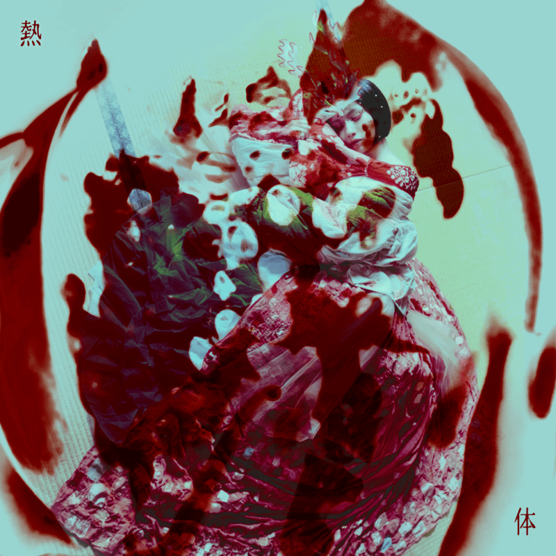 安次嶺希和子『熱体』