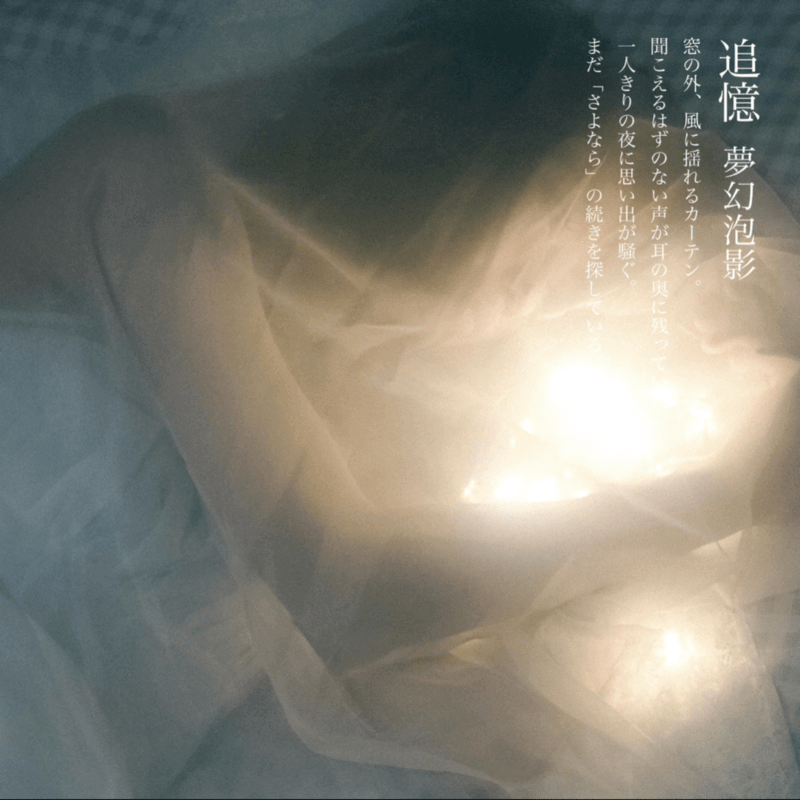 夢幻泡影「追憶」